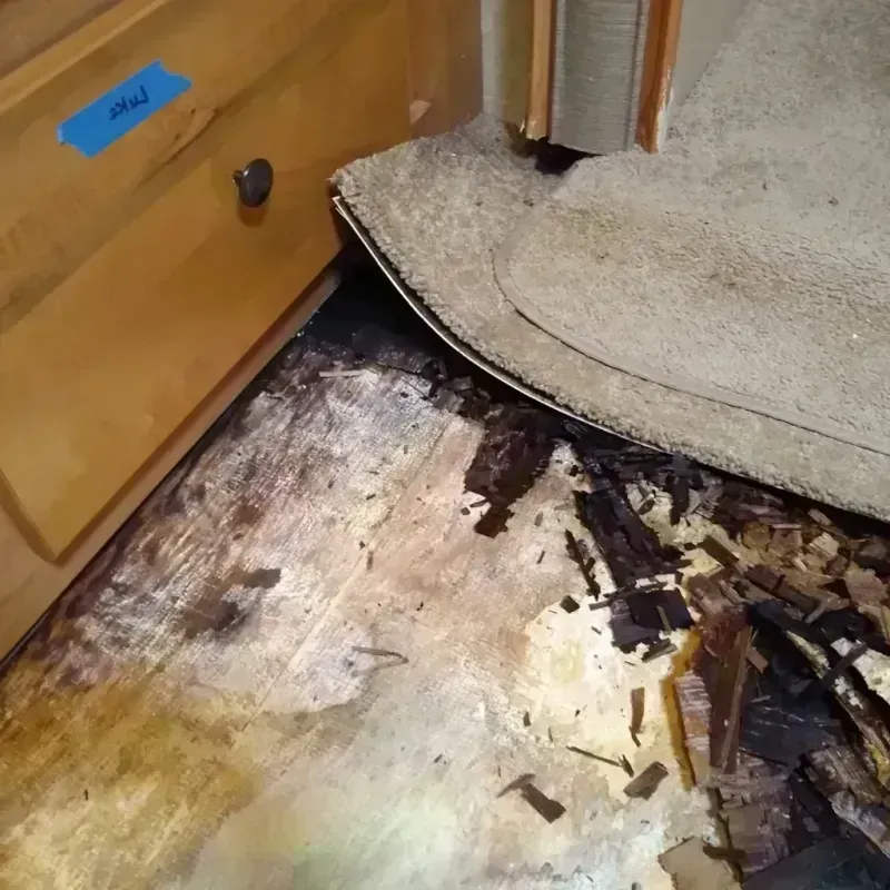 Wood Floor Water Damage in Siskiyou County, CA